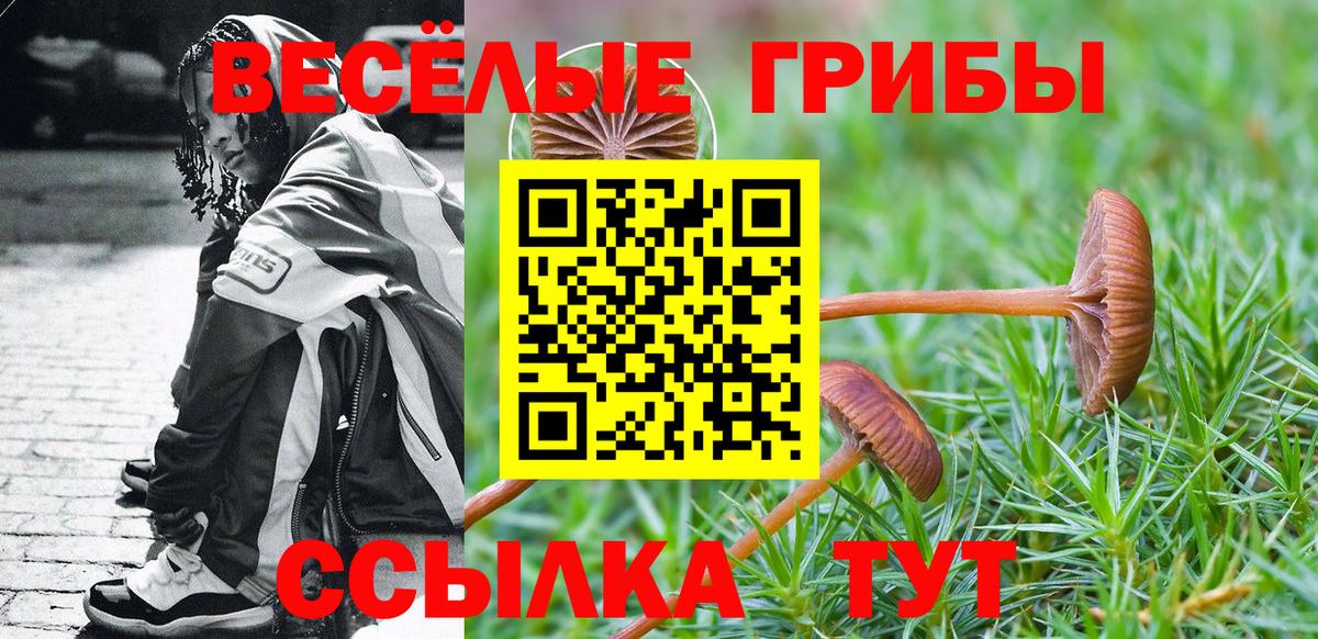 Галлюциногенные грибы GOLDEN TEACHER Люберцы