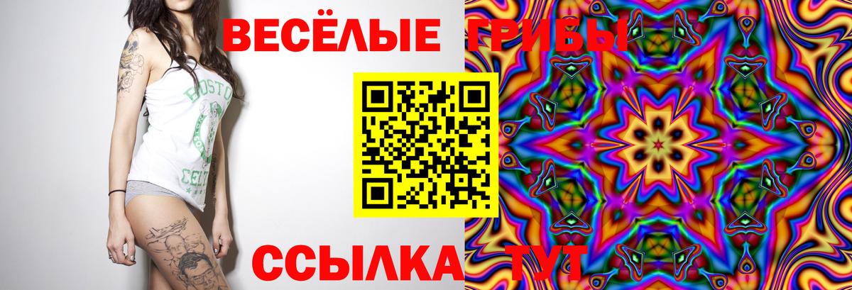 Люберцы  Галлюциногенные грибы ЛСД  Вход с VPN 